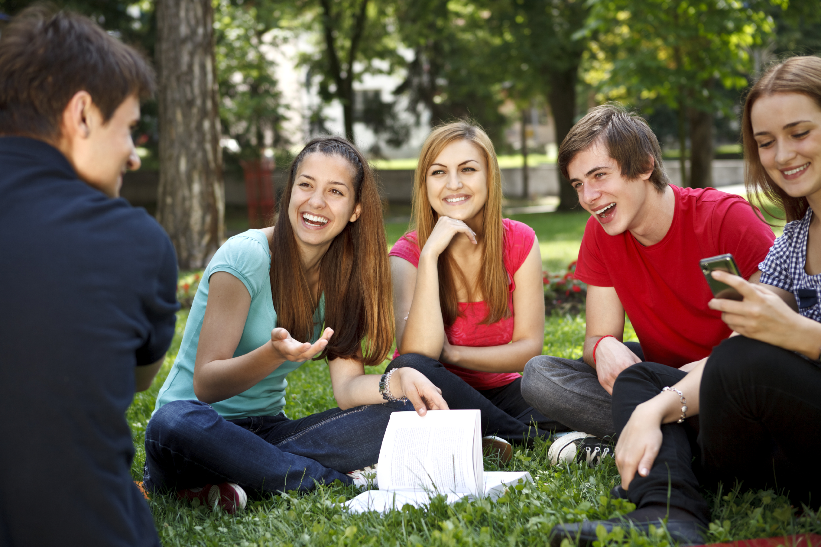 istock_000017019312large