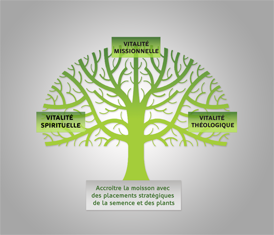 tree_4_french_01---increase-the-harvest025e526cb2cf645badfcff00009d593a