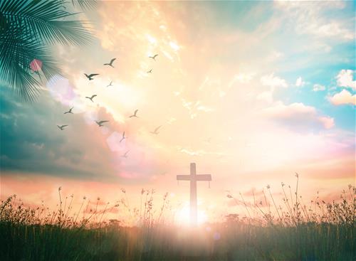 Every Day Faith - I will watch and be ready for Jesus return - iStock-1043390946
