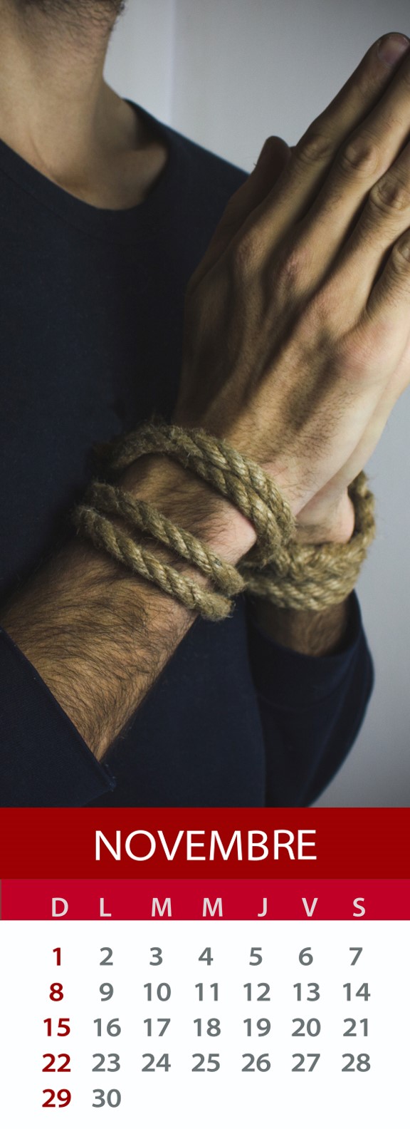 November 2020 Calendar (French)