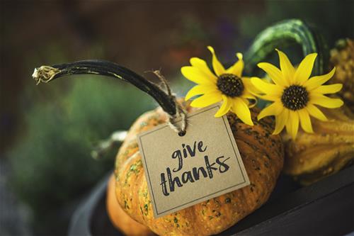Thanksgiving - iStock-601018438