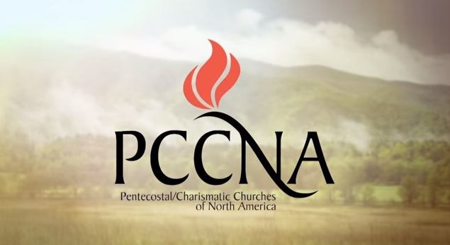 pccna---screen-shot8196556cb2cf645badfcff00009d593a