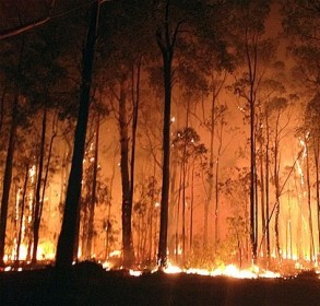 fort-mcmurray-alberta-fire